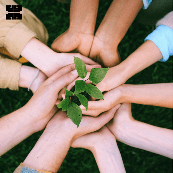 Hands holding a small plant
